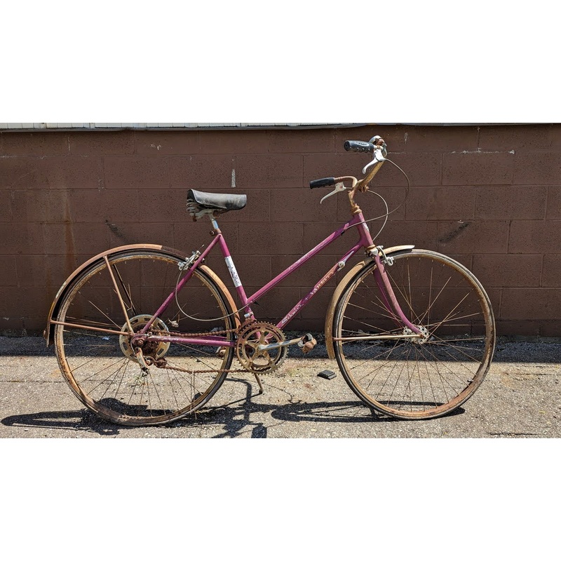 Schwinn Varsity Purple 17-19