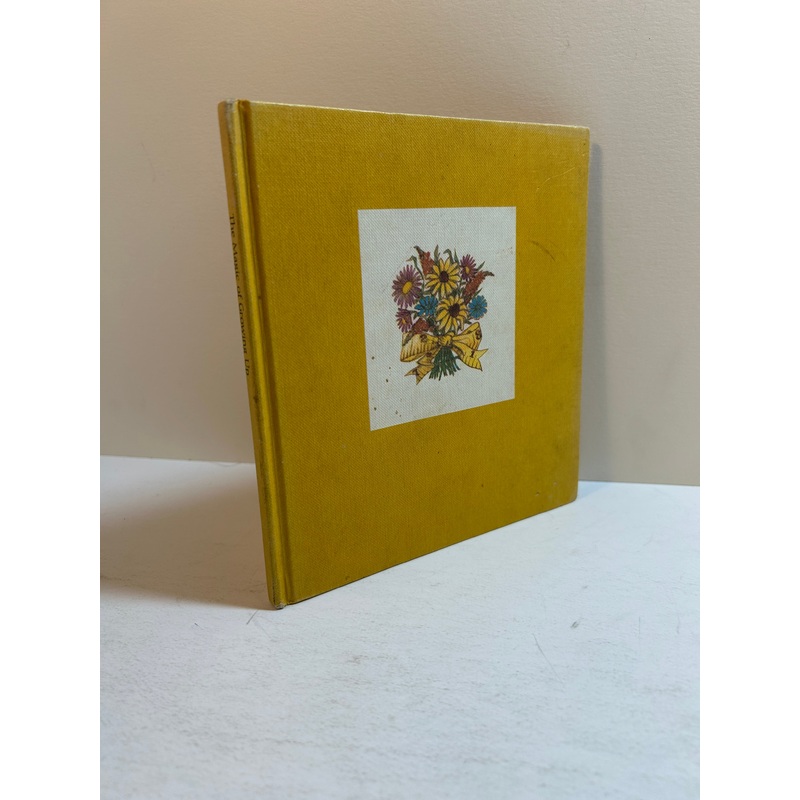 The Magic of Growing Up 1970 Hallmark Vintage – Dean Walley & Elissa Scott HC