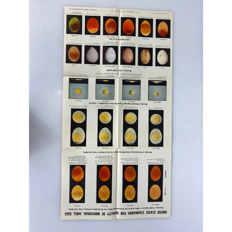 Vintage Agriculture Poster on Visual Egg Standards