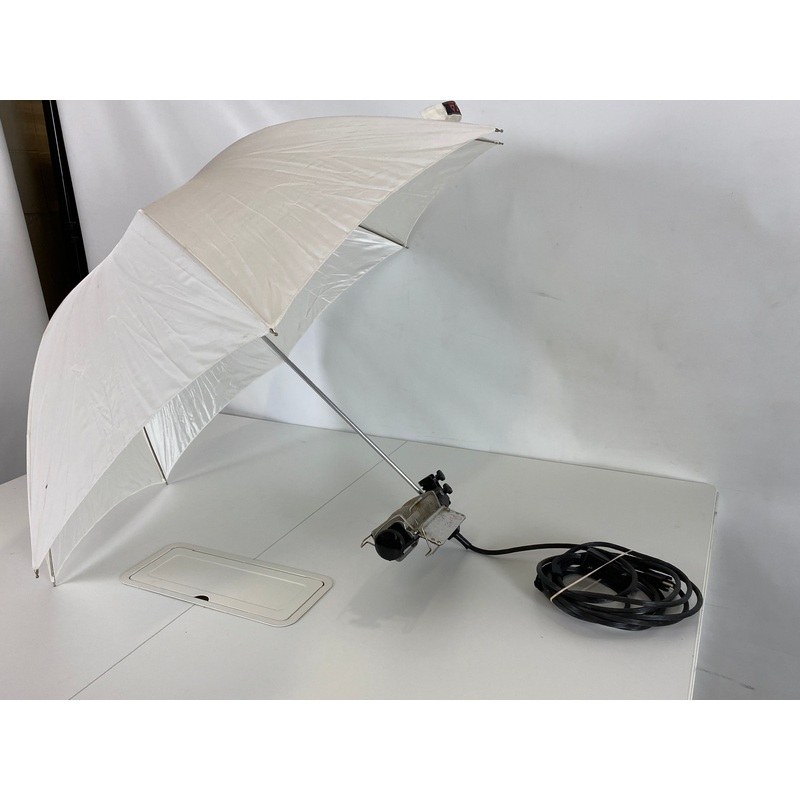 Lowel Tota Photobooth Light with Photoflex Umbrella