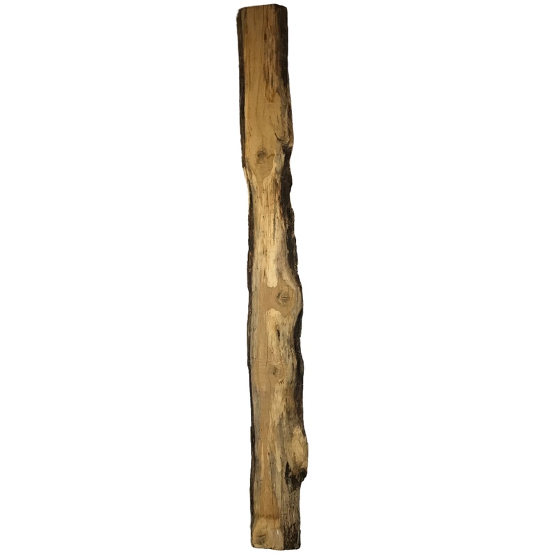 MSU Shadows Live Edge Oak Slab Wood 138.5 x 12.5