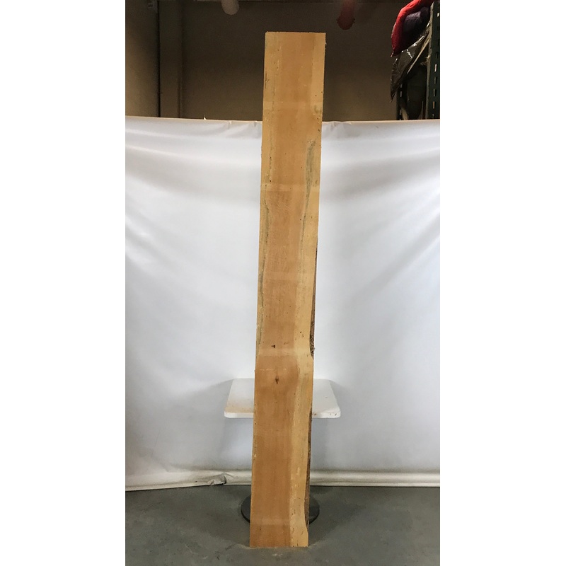 MSU Shadows Live Edge Pine Slab Wood 101 x 11.5