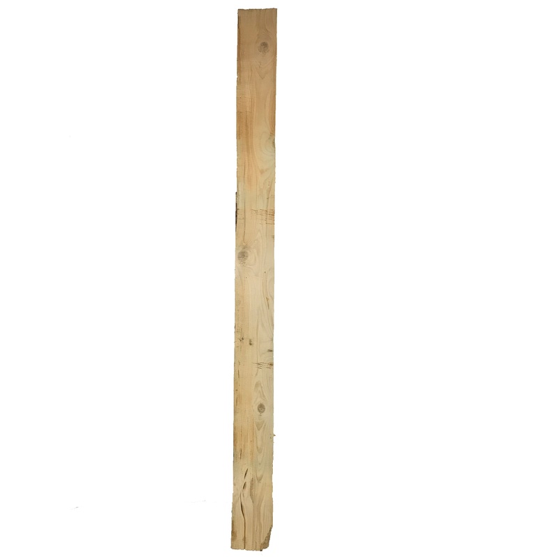 MSU Shadows Live Edge Pine Wood Slab 129.5 x 10