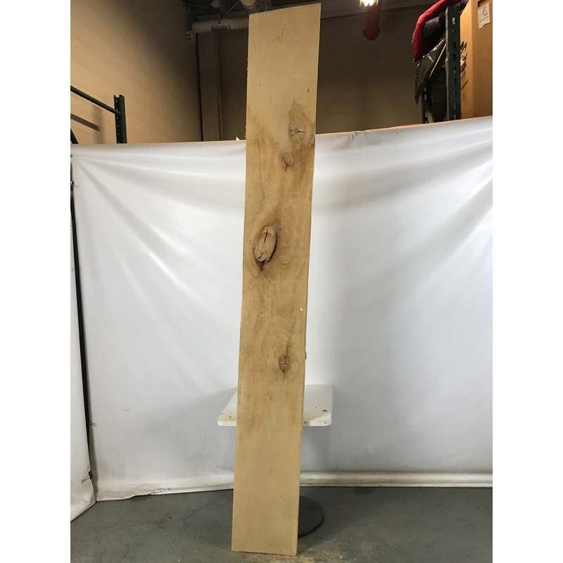 MSU Shadows Live Edge Sycamore Slab Wood 108.5 x 13.5