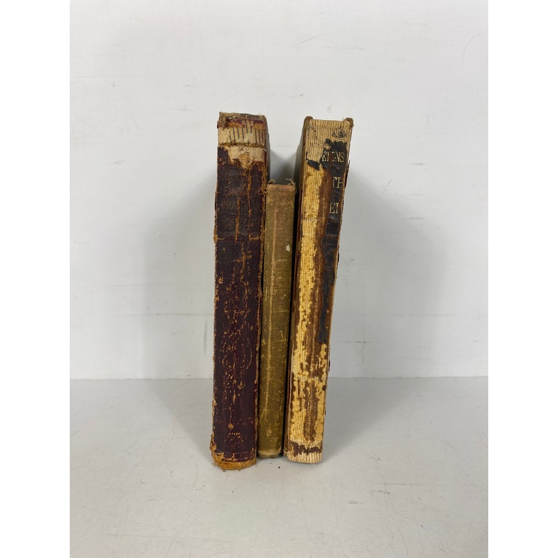 3 Antique Elementary Textbooks: Grammar/Memorizing/Fourth Reader 1878-1888 HC