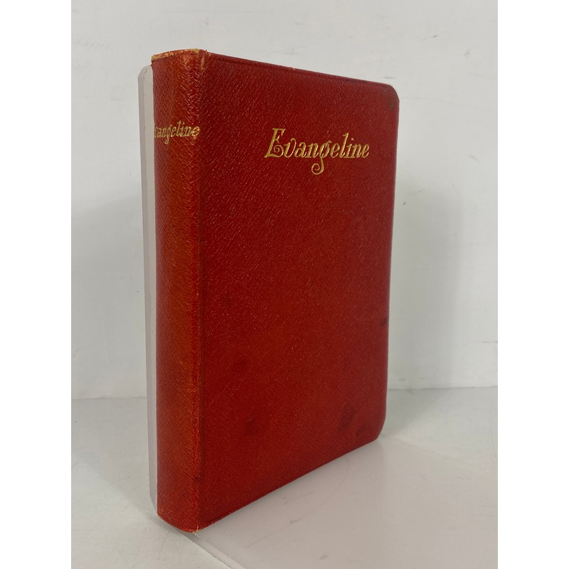 Evangeline A Tale of Acadie by Longfellow Hurst & Co Antique HC