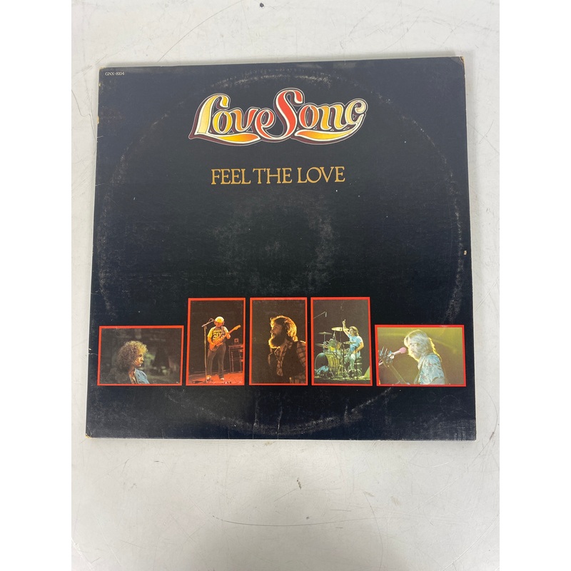 Love Song Feel the Love 2 Vinyl Record Set