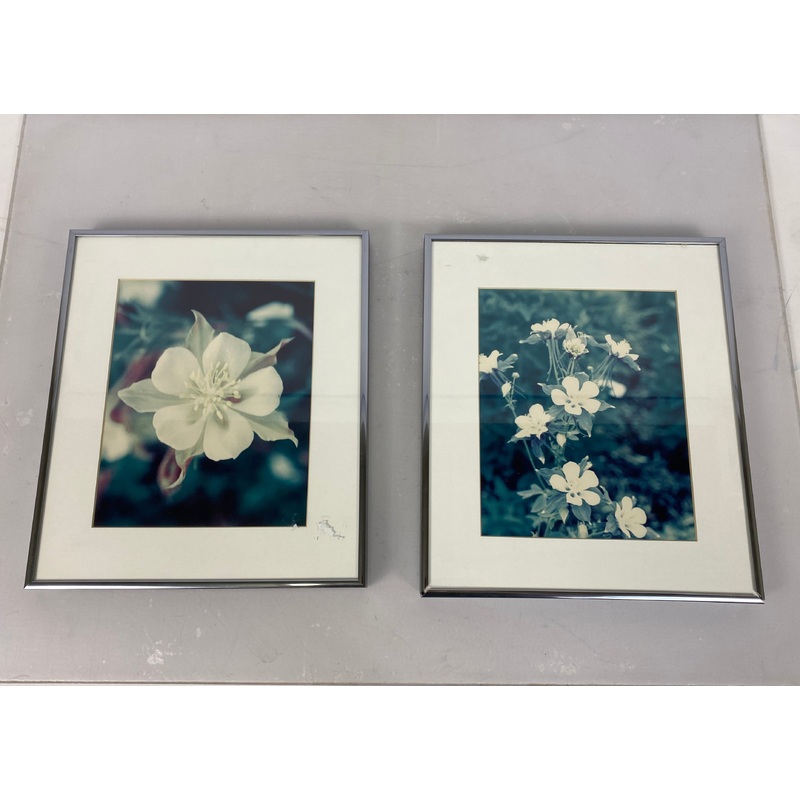 Nielsen Metal Framed Photographs of Columbine Flower