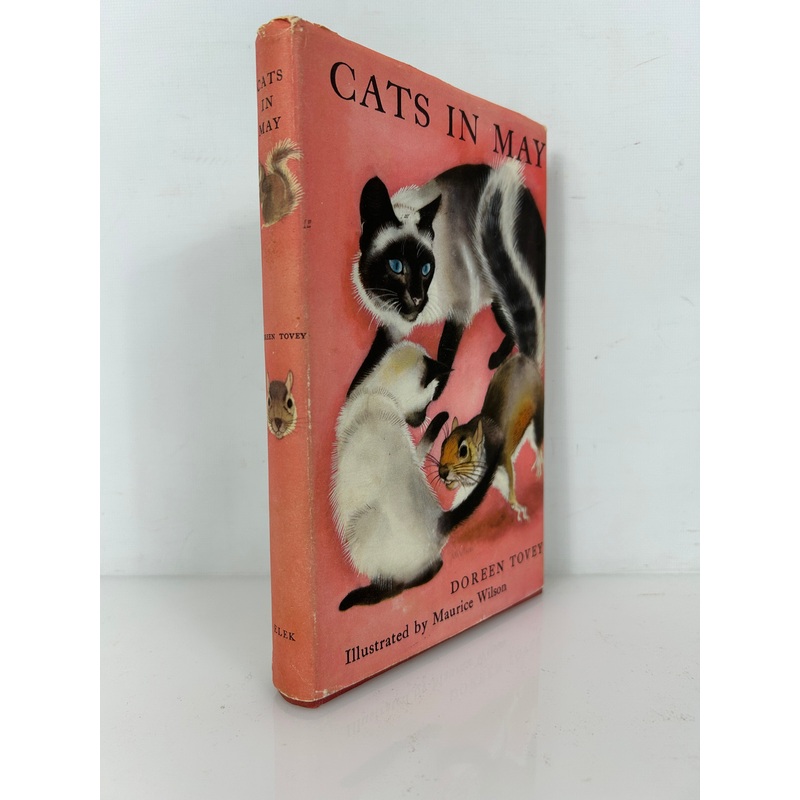Cats In May Dorean Tovey 1959 HCDJ