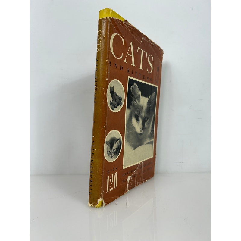 Cats & Kittens Ed Bryan Holmes 1st Print HC
