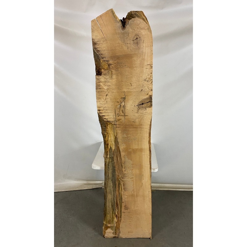 MSU Shadows Live Edge Norwegian Pine Species Slab Wood 78 x 17.5