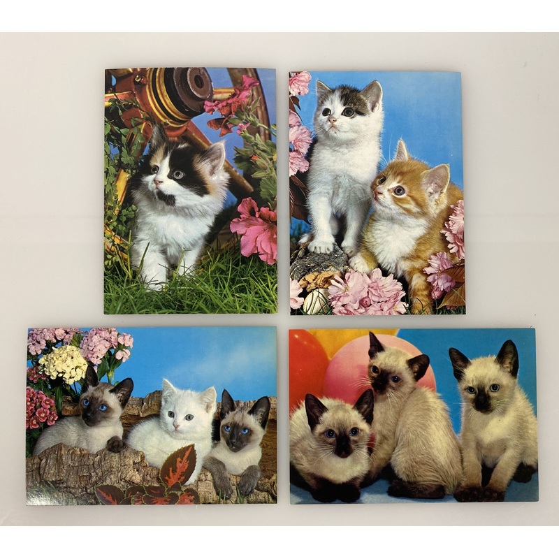 Cat Themed Postcards by John Hinde
