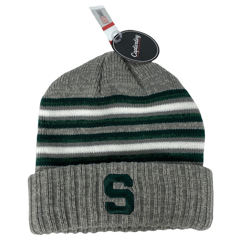 Michigan State University Gray Striped Bean
