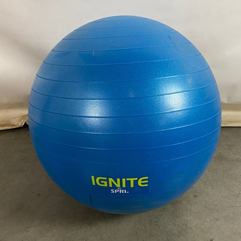 Spri Ignite Weighted Stability Balance Exercise Ball
