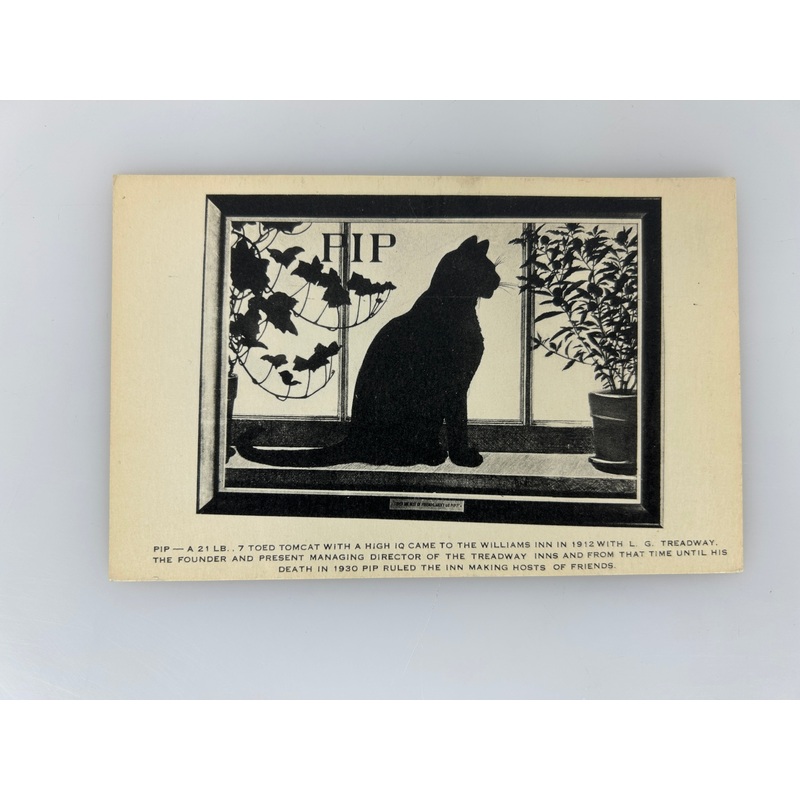 Remembering Pip-Silhouette Art of Kitty Cat-Williams Inn-Mass-Vintage Postcard