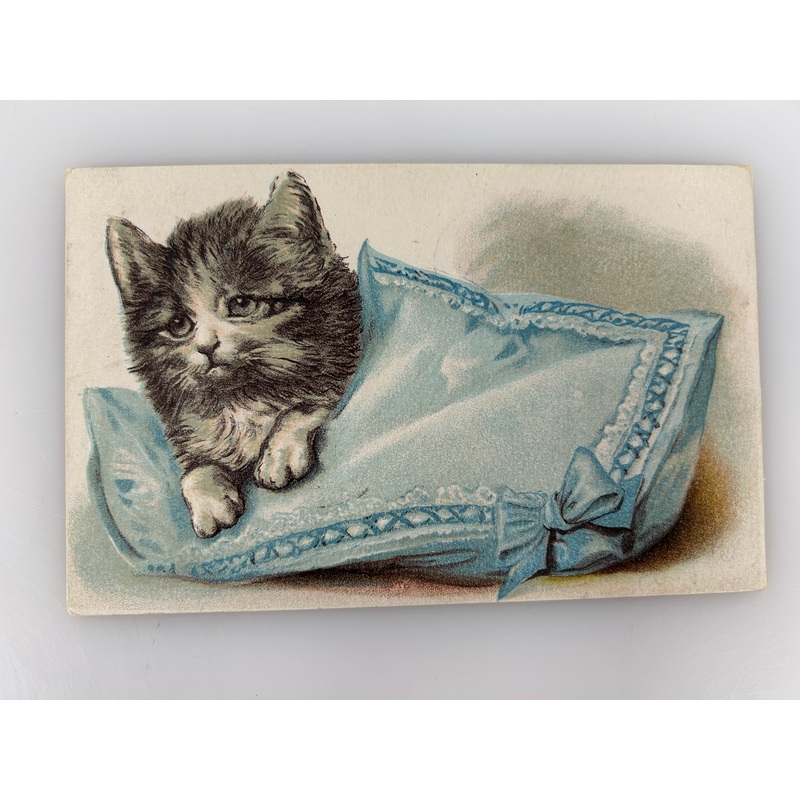 PC CAT, KITTEN SLEEPING ON A PILLOW, Vintage Embossed Postcard (b38457)