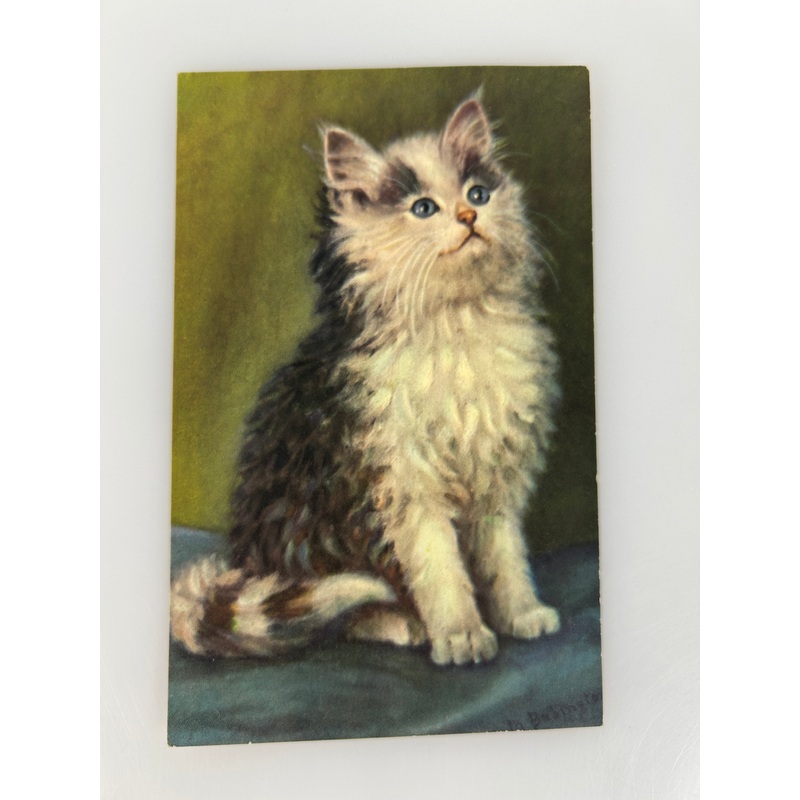 Vintage Cat Postcard c1950s Painting by M Babington Alma Publishing