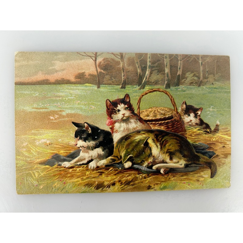 Vintage Embossed Postcard Three Little Kittens by Julius Adam the Younger c1900s