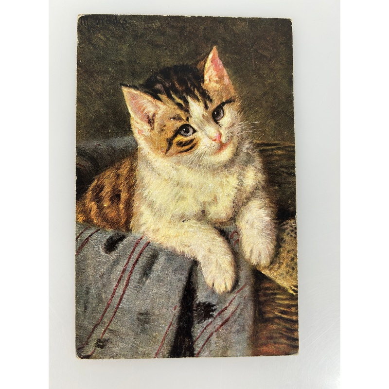 Vintage Postcard Cat in Basket Vintage Postcard H.K. & Co. posted 1907