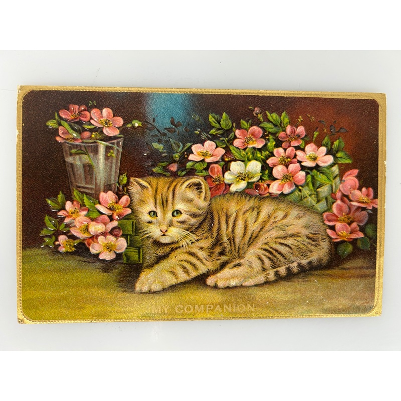 Antique Cat with Flowers Postcard Embossed Gold Border & My Companion c1910’s