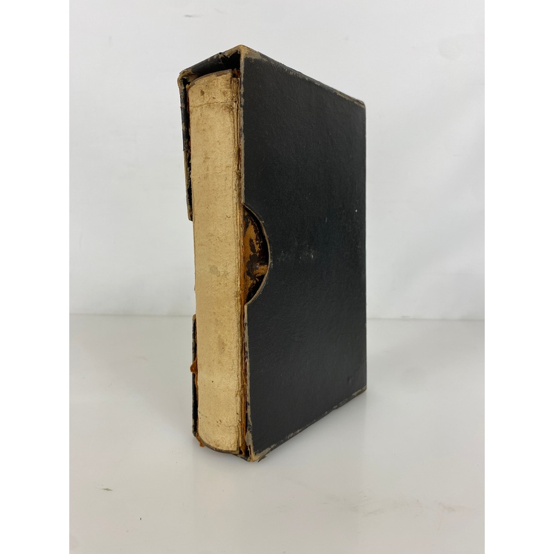Beatrice D’Este Duchess of Milan by Cartwright 1920 Rare Clasp Bound Leather