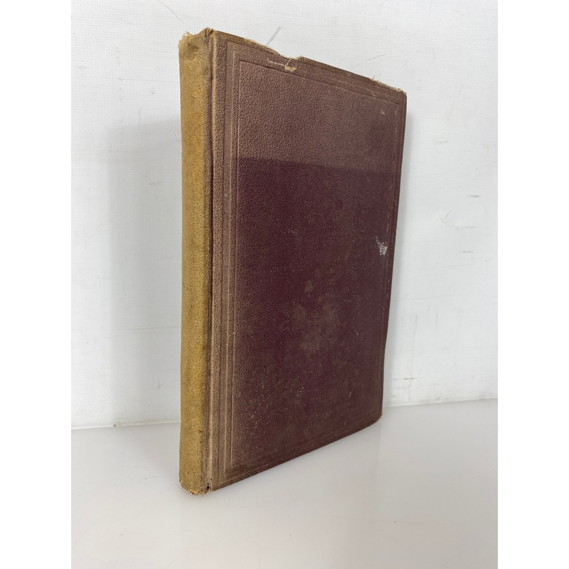 Eirene; or a Woman’s Right by Mary Clemmer Ames 1871 Rare Antique HC