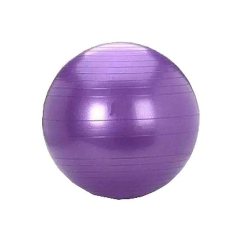 Anti-Burst Gym – Jumping Ball-Purple 65CM