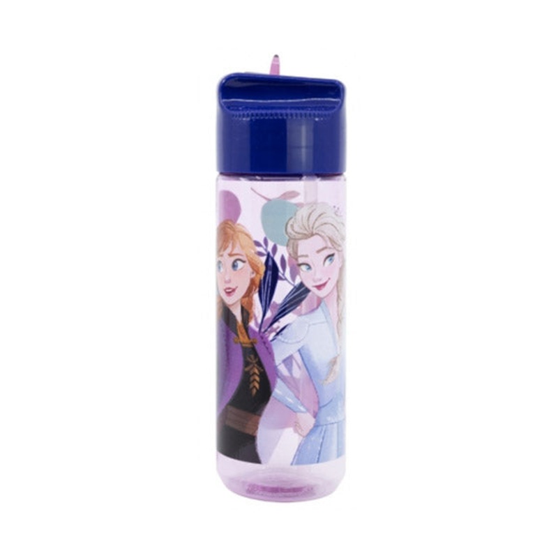 Stor Large Ecozen Hydro Bottle 540ml Frozen Trust The Journey – 74223