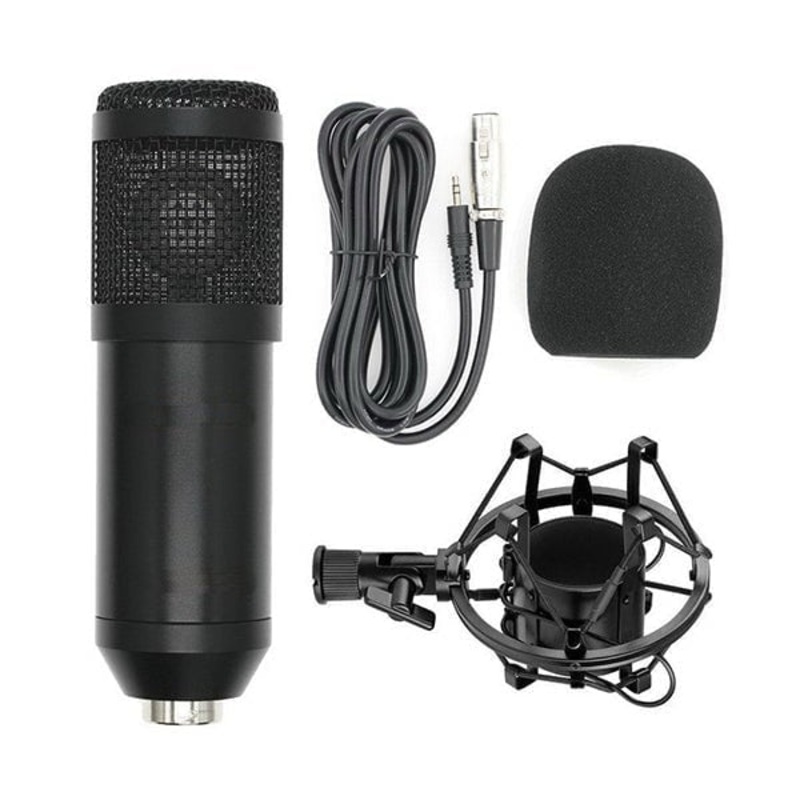 Conqueror Professional Stereo Recording Condenser Microphone With 3.5mm Plug – BM800