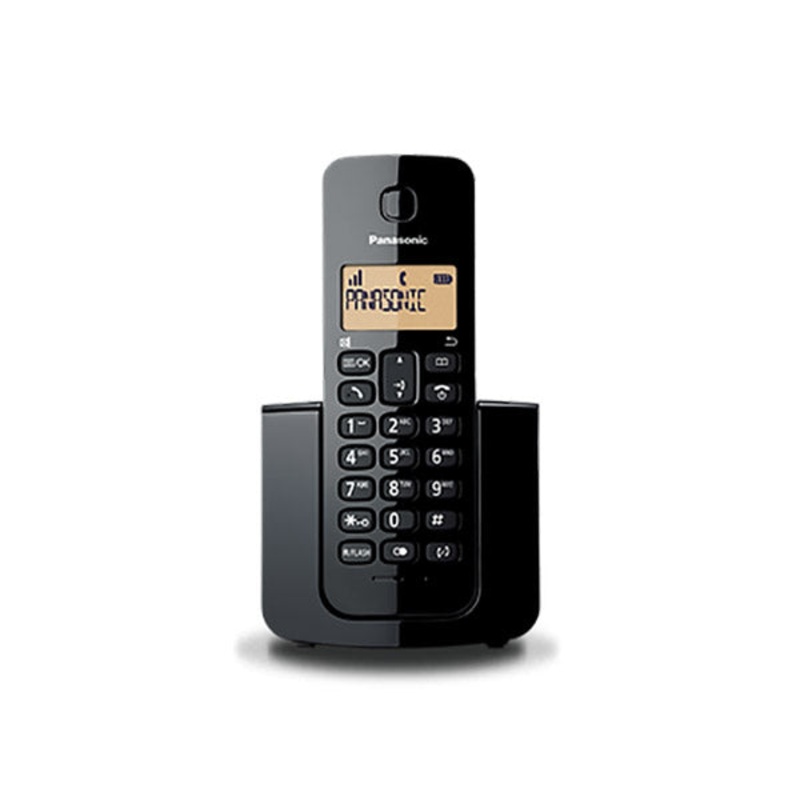 Panasonic Digital Cordless Phone KX-TGB10AF