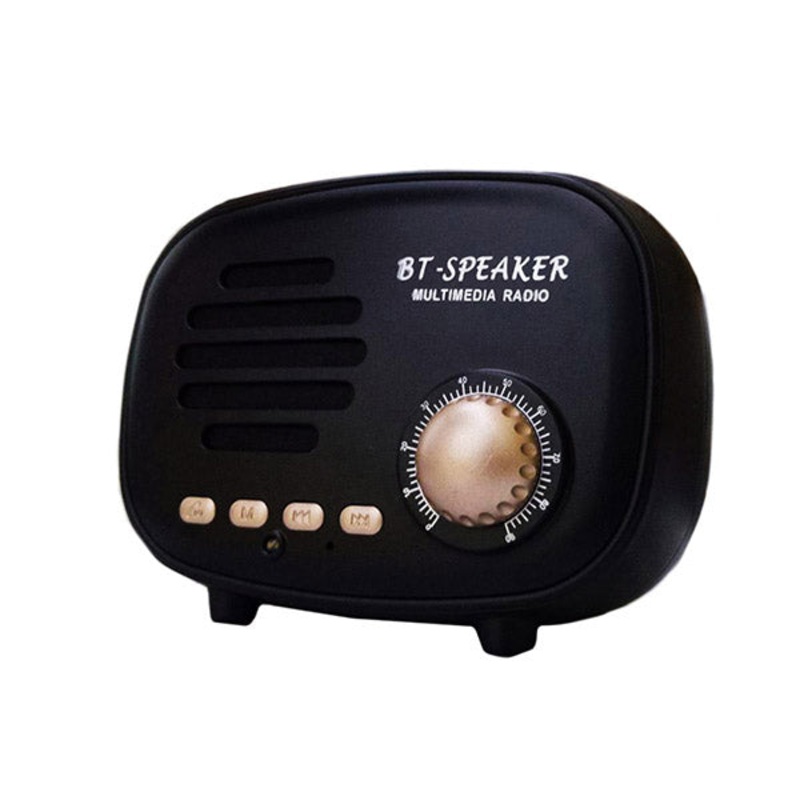 Multimedia Radio Bluetooth Speaker – Q108