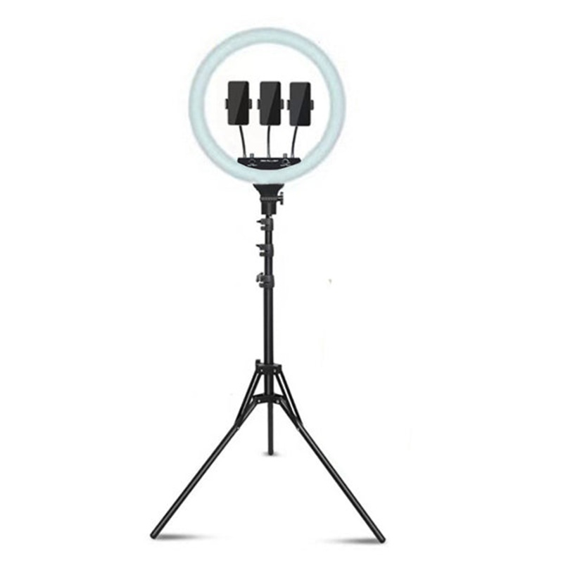 Conqueror Multipurpose Ring Light 18 Inches with Tripod for Mobile Cell Phone  CL460