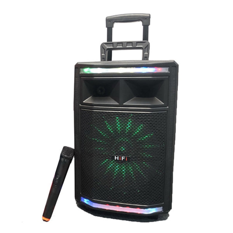 TWS Portable Speaker Karaoke Bluetooth 12 inch with Wireless Mic – SZ1219