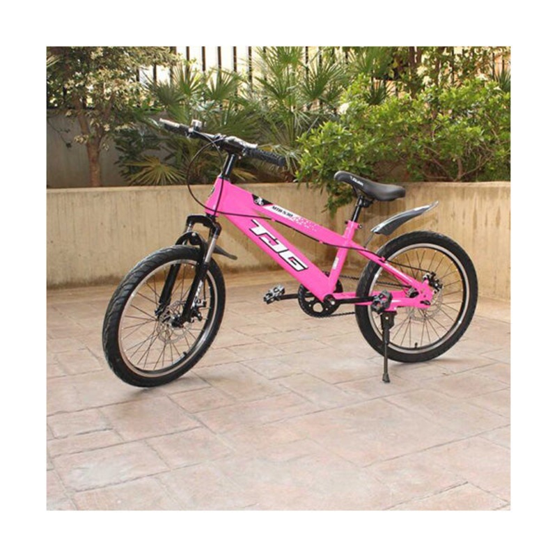 Childrens Pink Bicycle 20 Inch, 97006