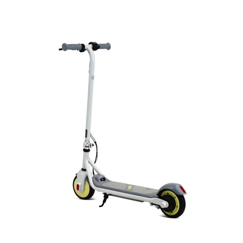 Segway Ninebot Zing C8 eKickScooter – AA.00.0011.61