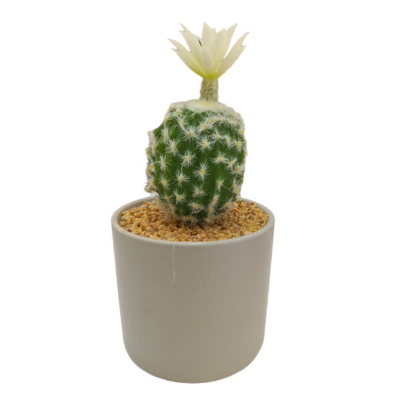 Artificial Plants Potted #0213-26 – 98403