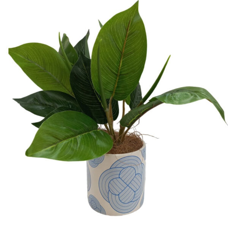 Artificial Plants Potted #0213-56 – 98417