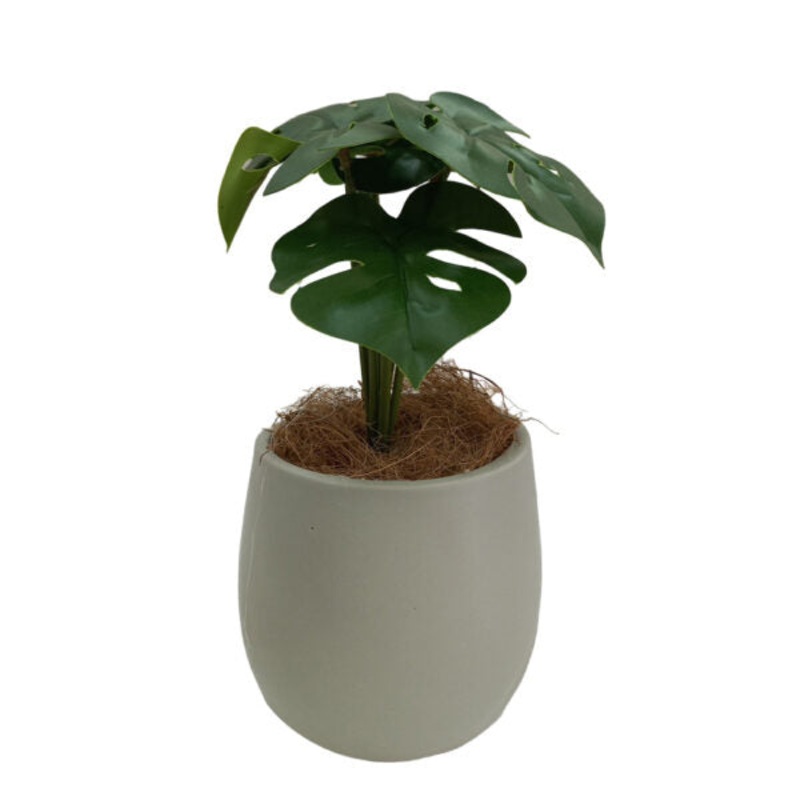 Artificial Plants Potted #553 – 98553