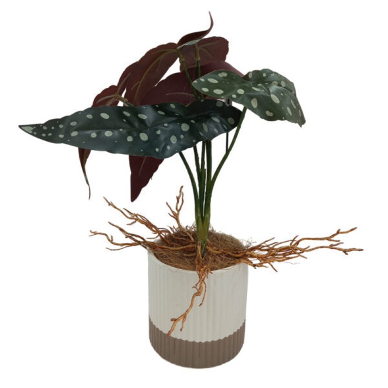 Artificial Plants Potted #555 – 98555