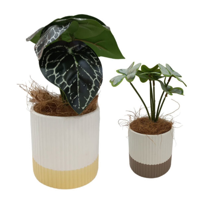 Artificial Plants Potted #556 – 98556
