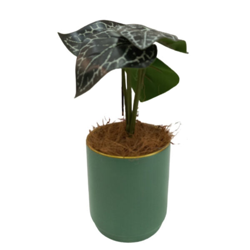 Artificial Plants Potted #557 – 98557