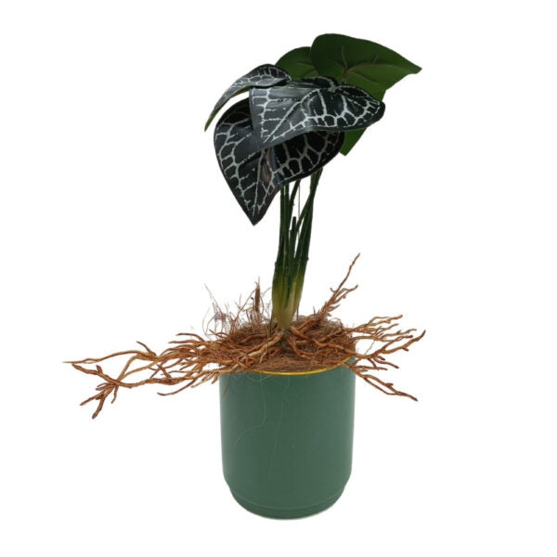 Artificial Plants Potted #558 – 98558