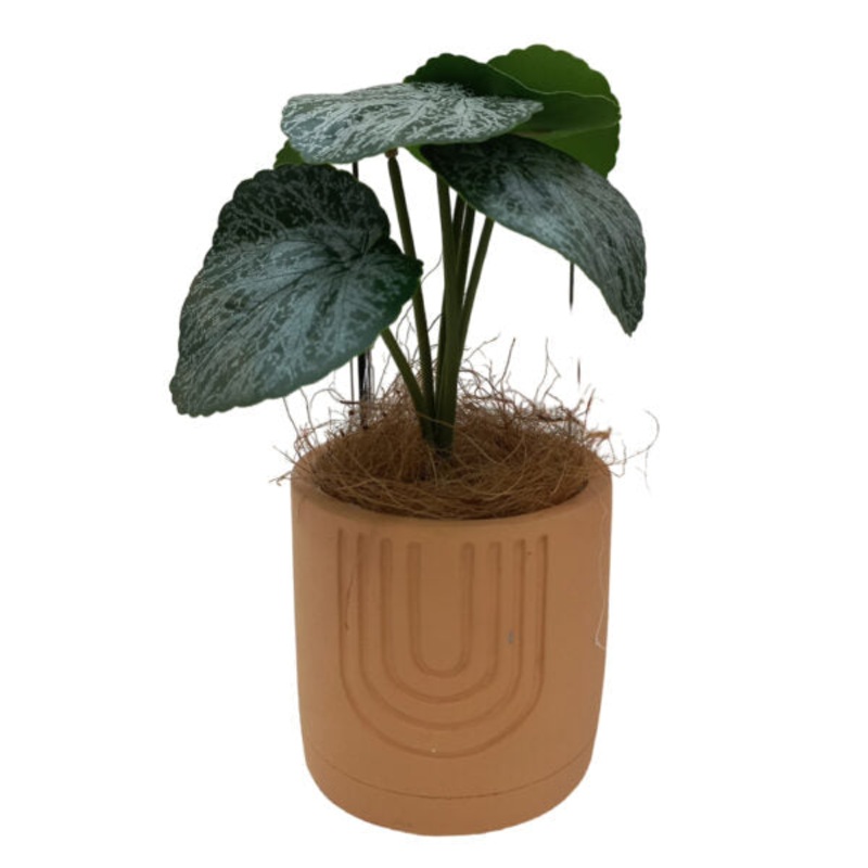Artificial Plants Potted #560 – 98560