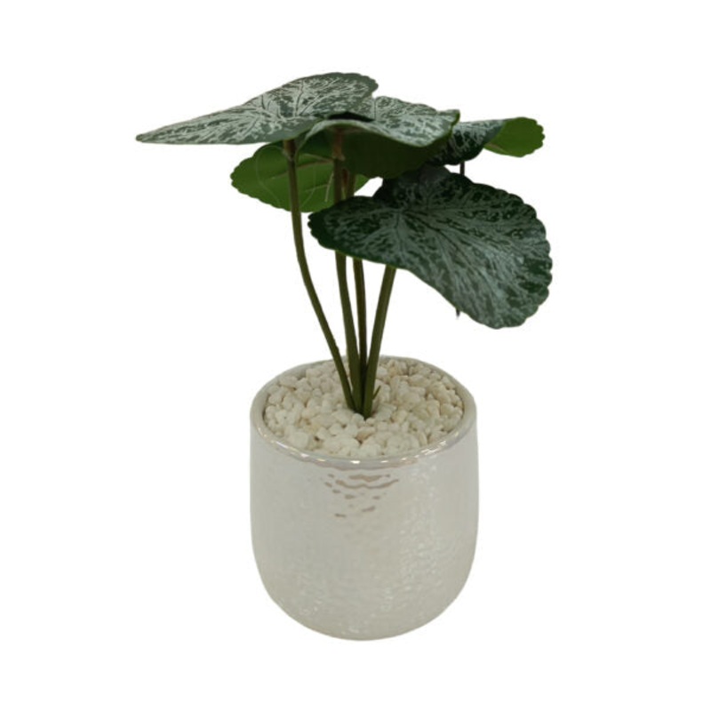Artificial Plants Potted #569|Brand New|Model-1|Model-2|Model-3|Model-4|Model-5