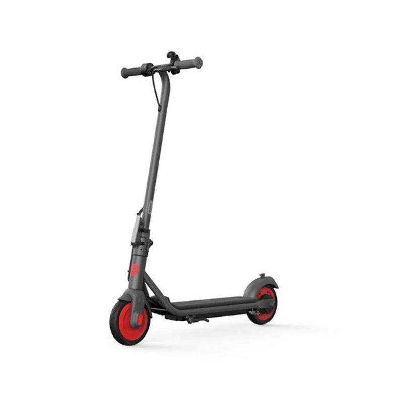 Segway Ninebot Zing C20 eKickScooter