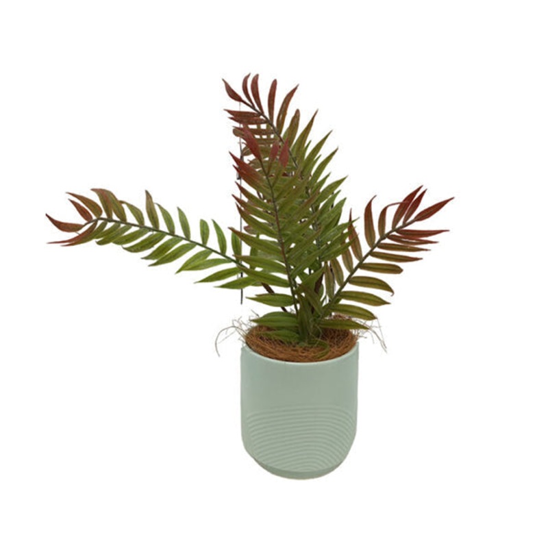 Artificial Plants Potted #570 – 98570