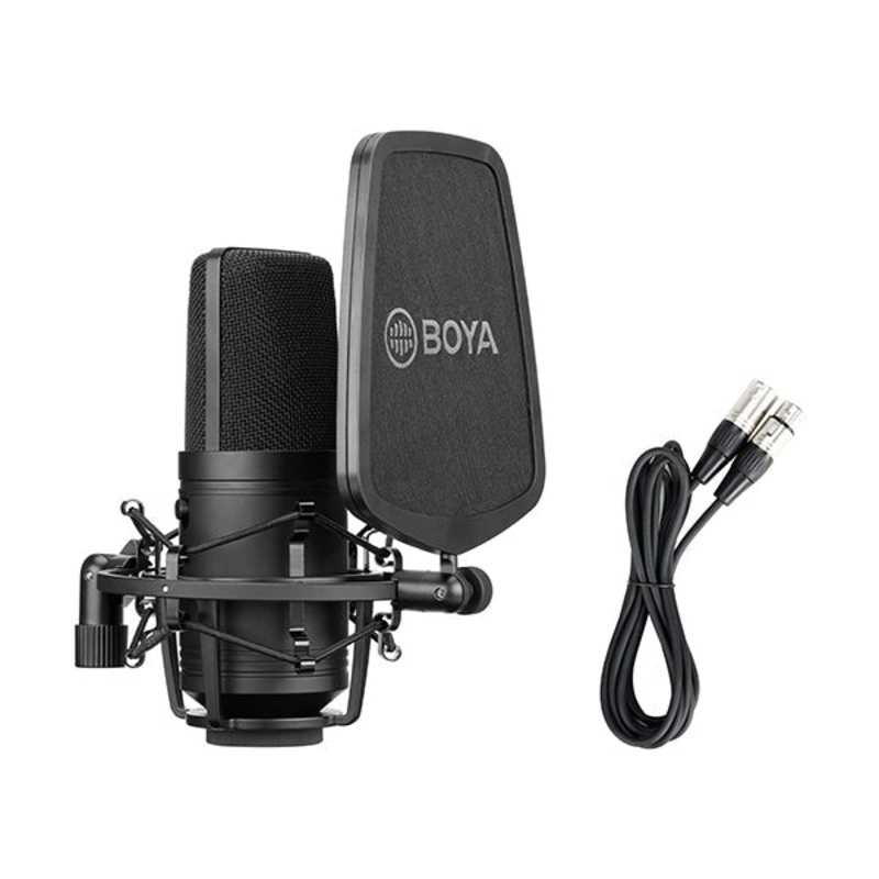 Boya, Large Diaphragm Cardioid Condenser XLR Microphone for Studio, Podcasting and streaming, Recording Vocals, Acoustic Instruments, Home Audio YouTube Video