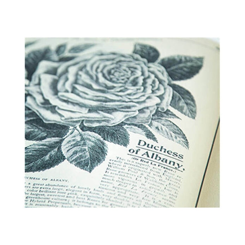 Book Shape Wall Portrait – 10972