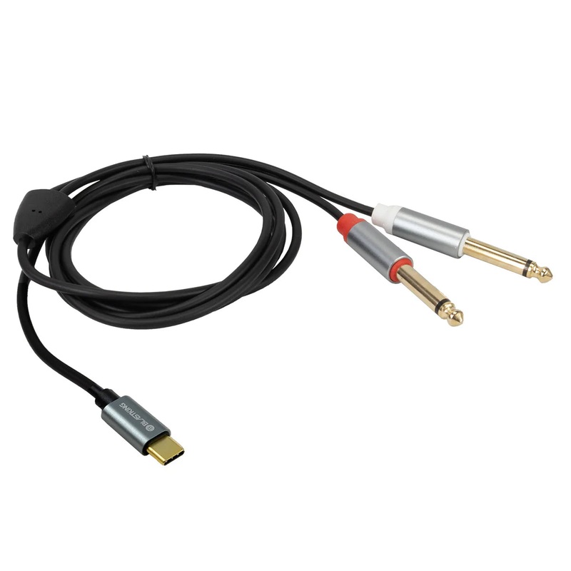 Blastking C2QTC-6 USB-C To Dual 1/4 (6.35mm) Audio Cable / 6ft (1.82m)