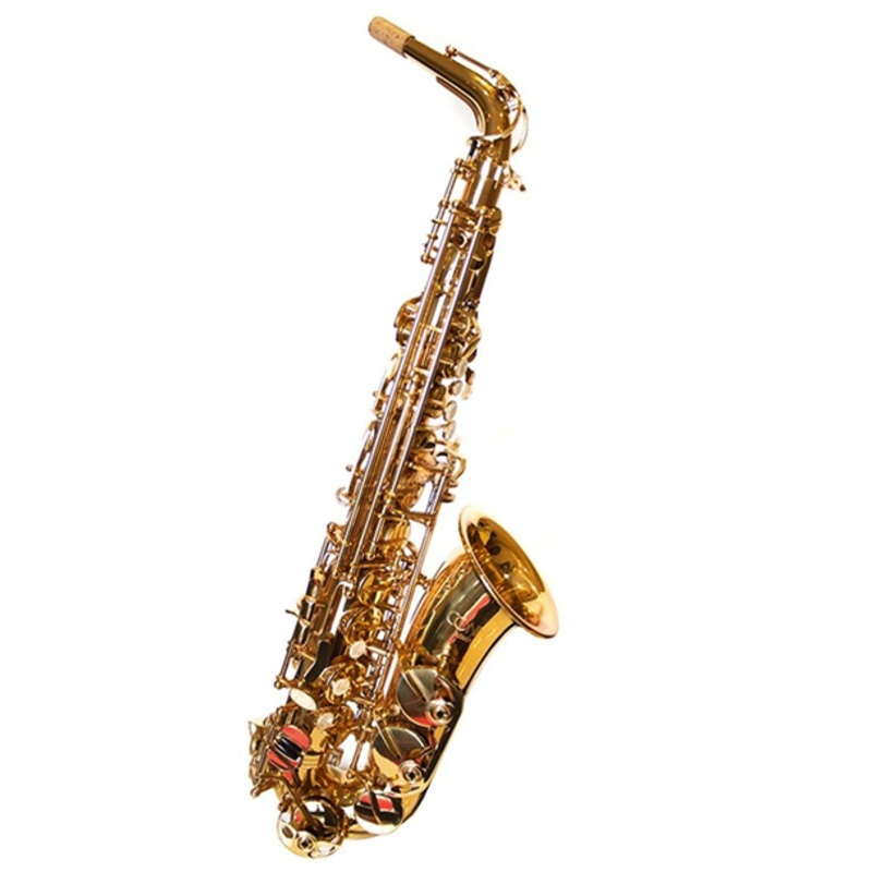Conn Selmer AS651DIR Alto Saxophone Outfit